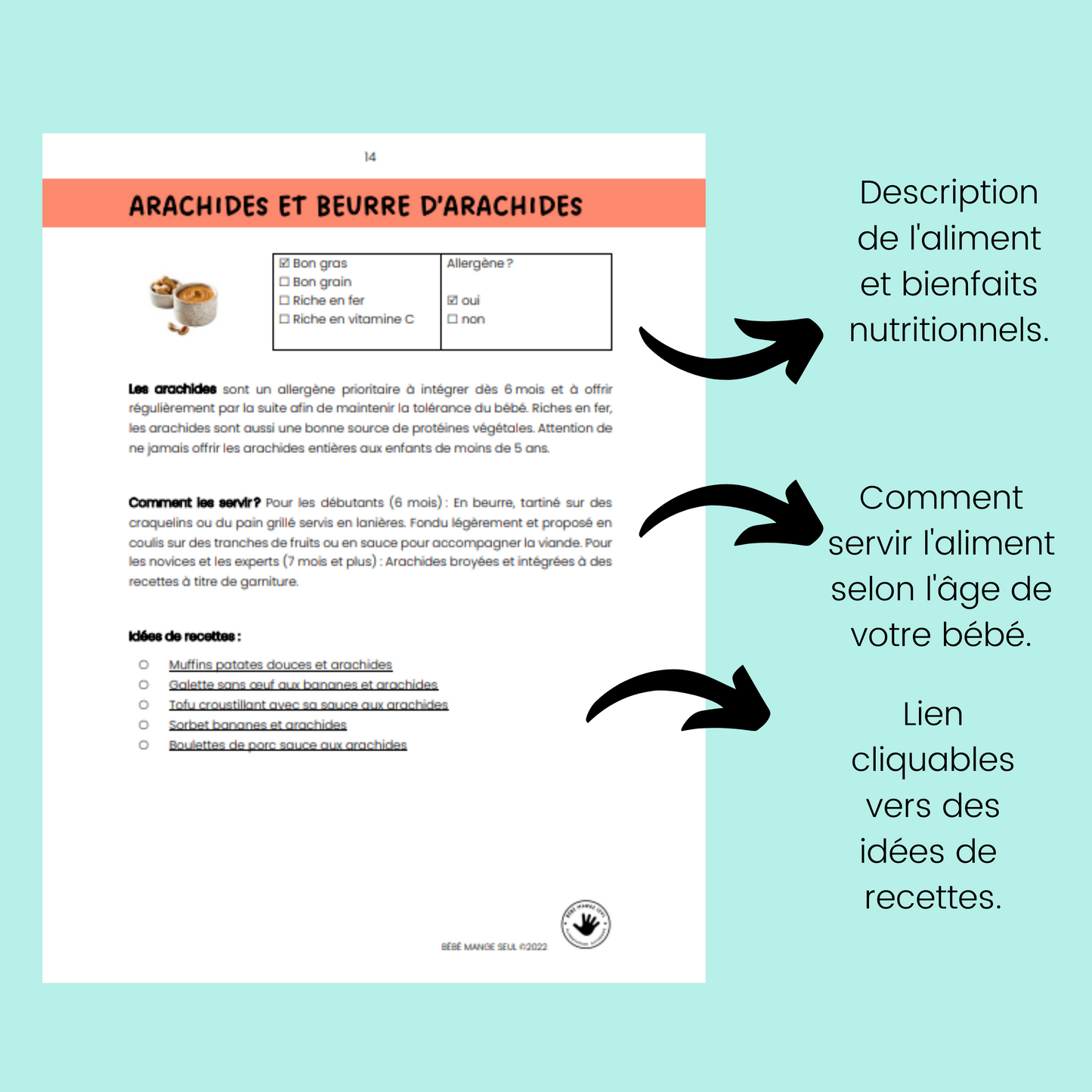 FORMATION / WEBINAIRE :  L'assiette parfaite