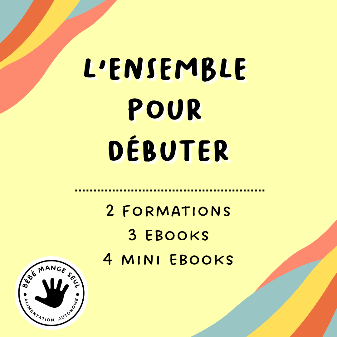 L'ensemble Tout pour débuter : 2 formations, 7 ebooks