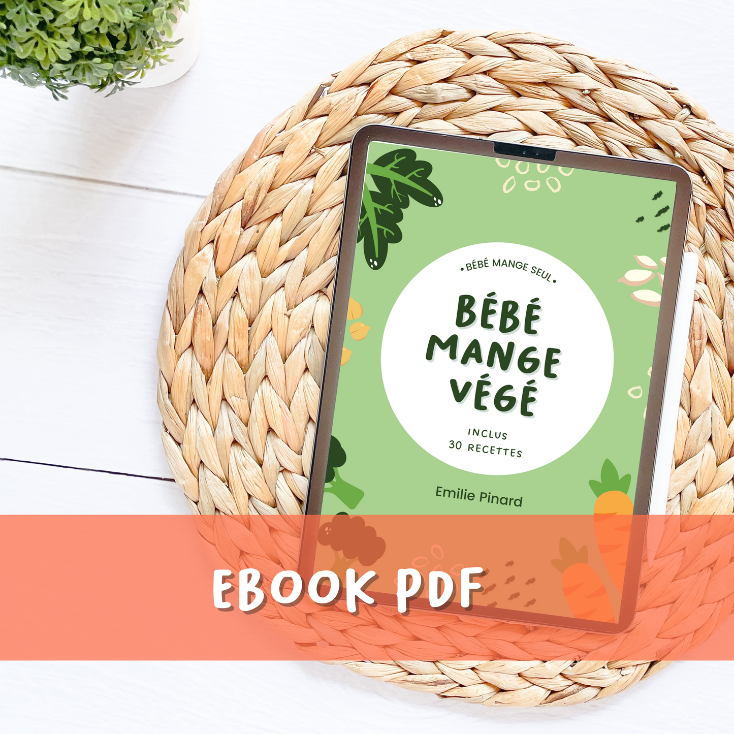 EBOOK / Bébé mange végé