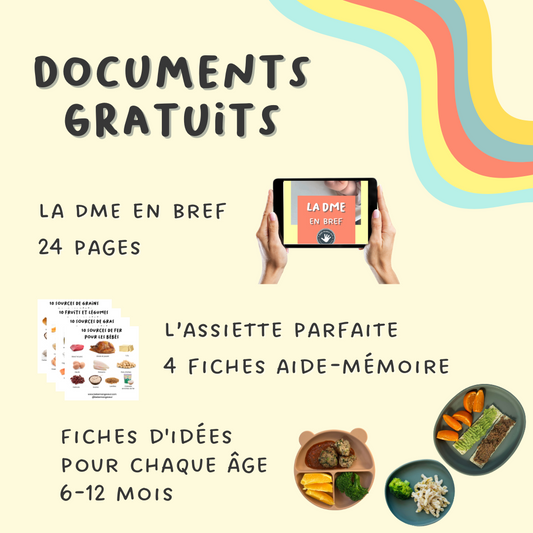 GRATUIT : 3 documents pour débuter la DME