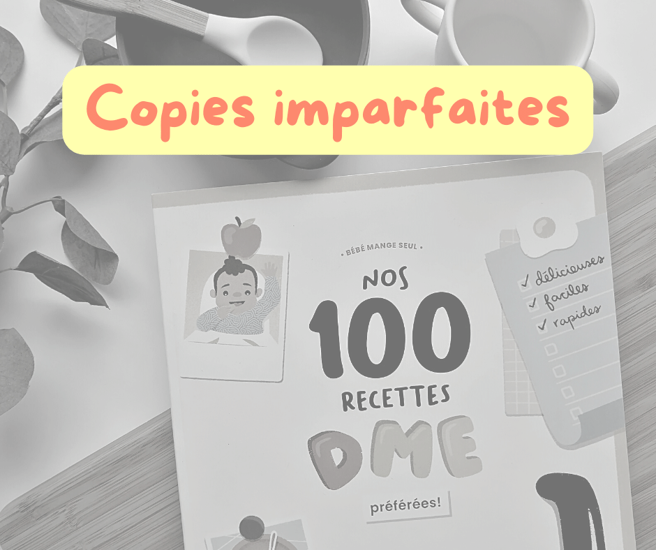 LIVRES PETITS DÉFAUTS - Nos 100 recettes DME livre papier, PDF inclus