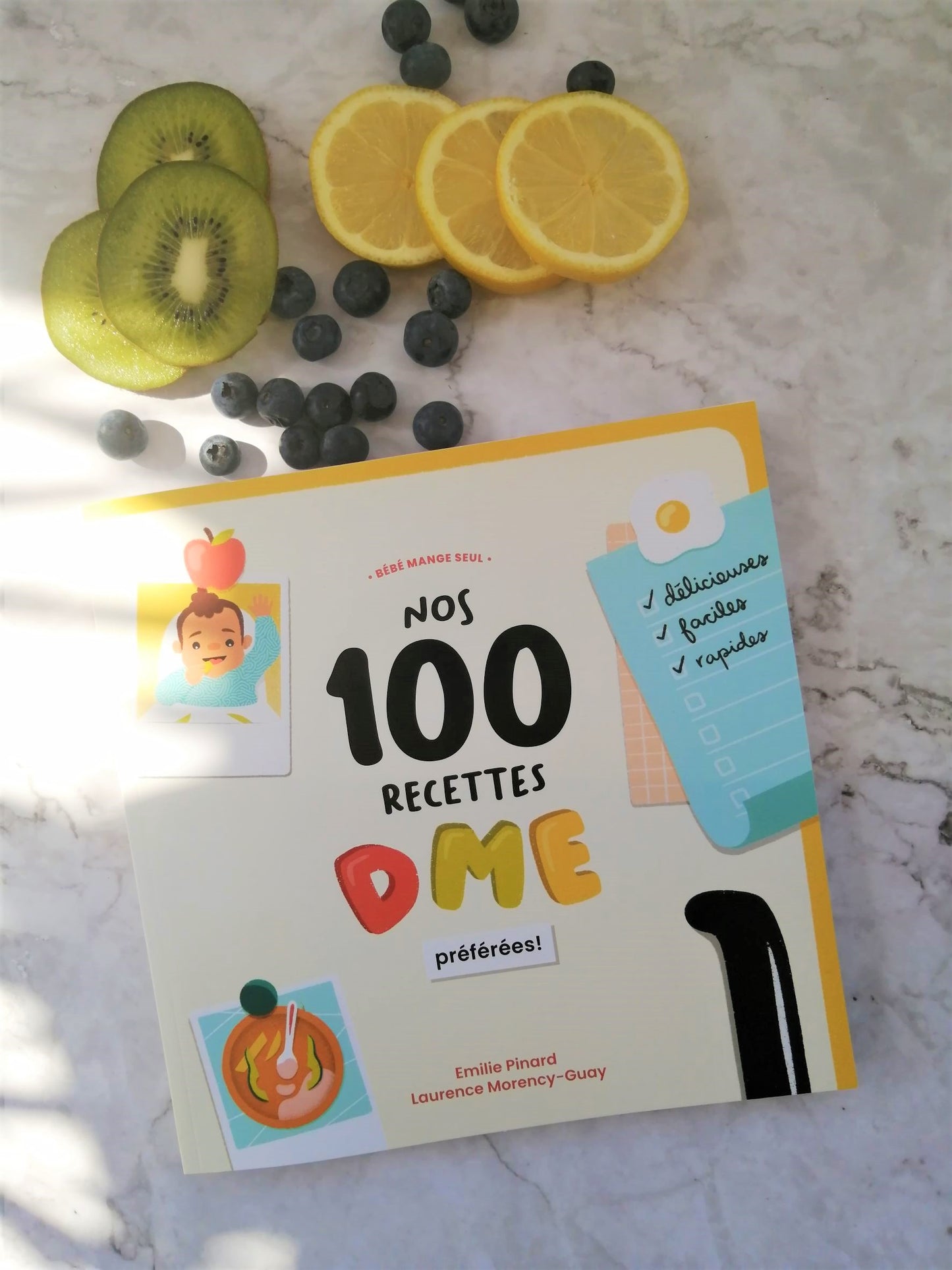 PAPIER / Nos 100 recettes DME, PDF inclus