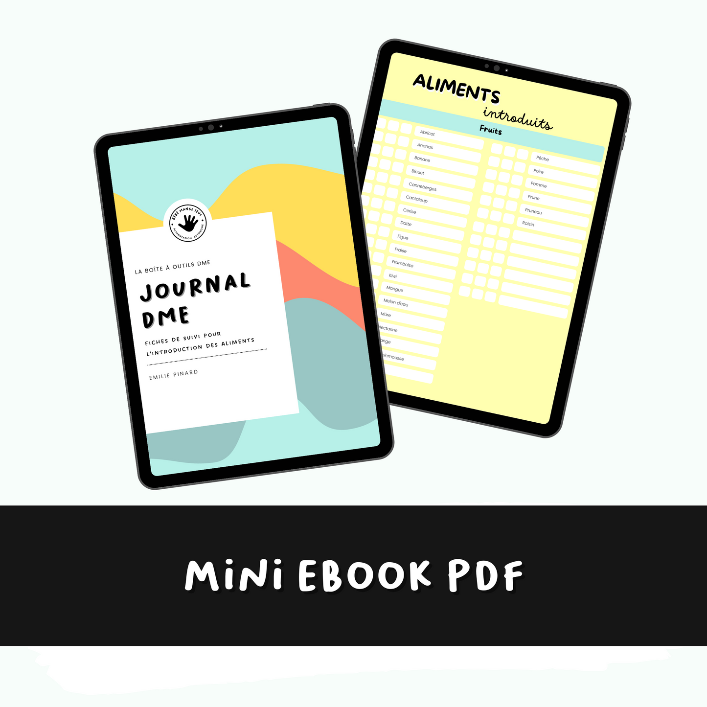 MINI EBOOK / Journal DME - Fiches de suivi pour l'introduction des aliments