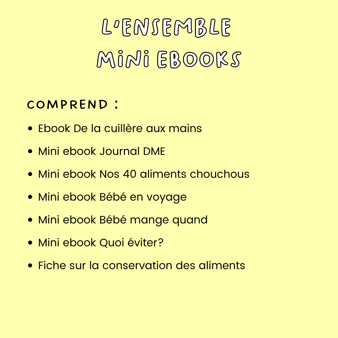 L'ensemble mini ebooks : 1 ebook et 5 mini ebooks