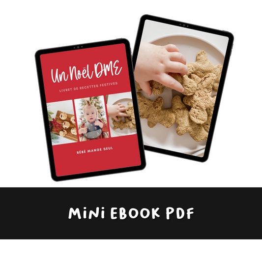 MINI EBOOK / Un Noël DME