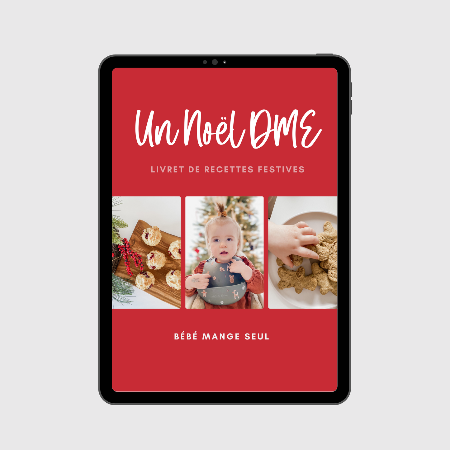 MINI EBOOK / Un Noël DME